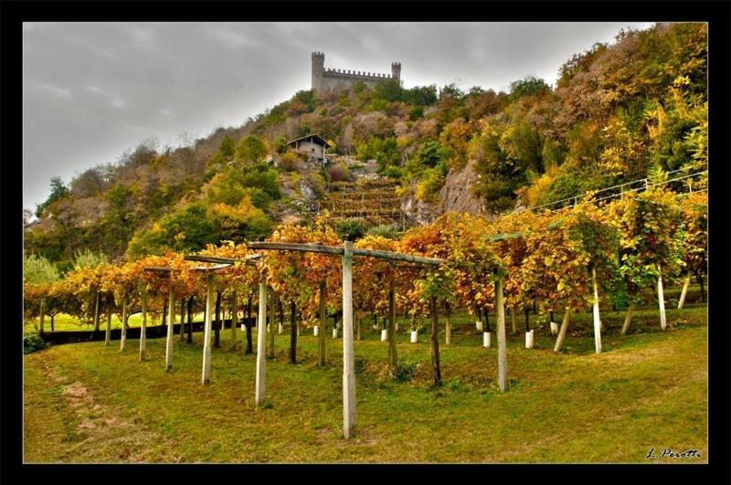 Comunita' OSPITALI bidrino Bed & Breakfast Borgofranco d'Ivrea Eksteriør bilde