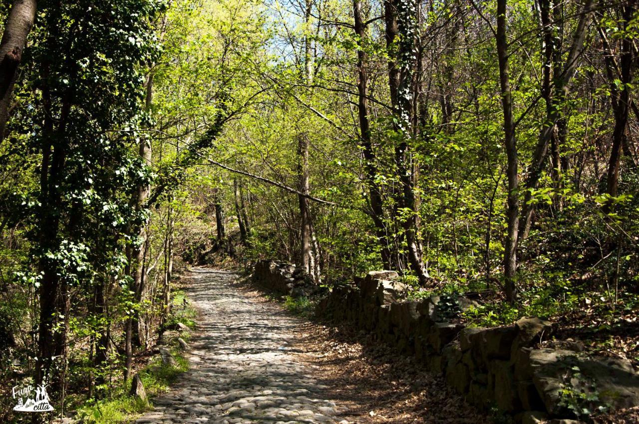 Comunita' OSPITALI bidrino Bed & Breakfast Borgofranco d'Ivrea Eksteriør bilde